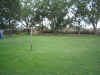 yard1.jpg (427986 bytes)